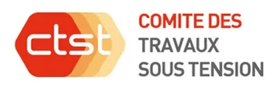 Logo TST